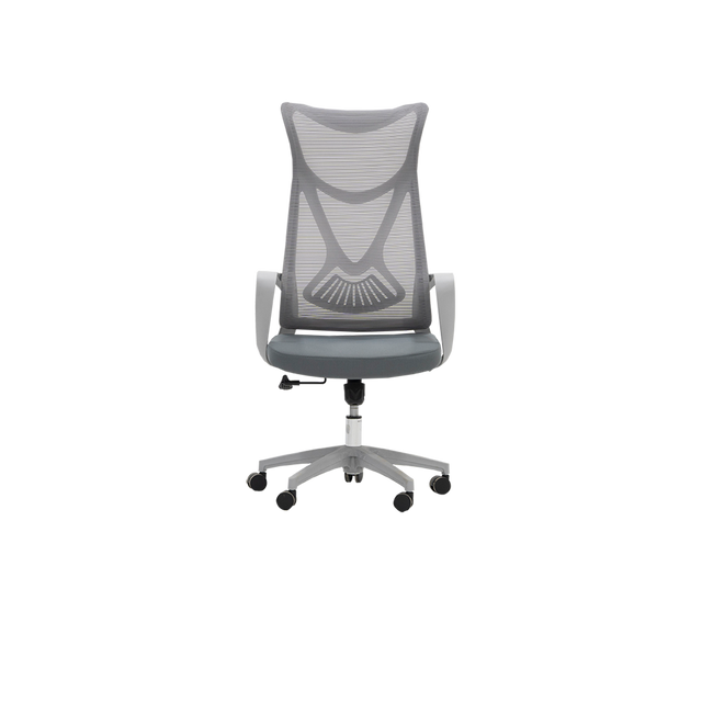 Revolving Chair - FS808