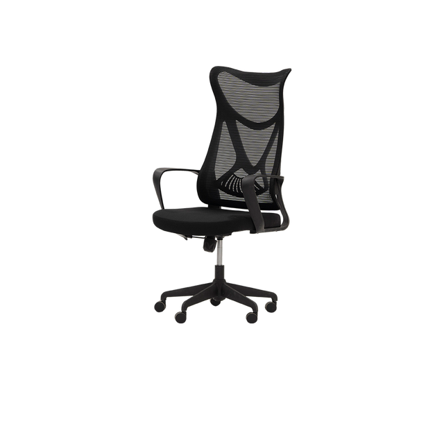 Revolving Chair - FS808