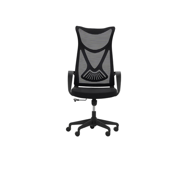 Revolving Chair - FS808