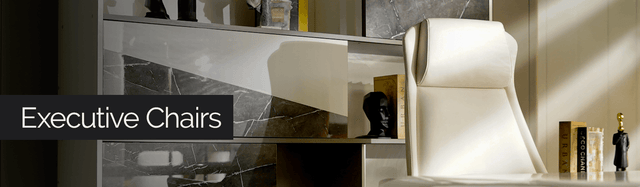 Executive Office Chairs in Pakistan - Modern Office Chairs - Office Empire