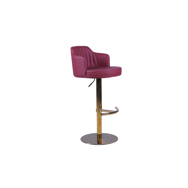 Luxury Adjustable Bar Stool with Padded Backrest - 758