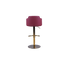Luxury Adjustable Bar Stool with Padded Backrest - 758