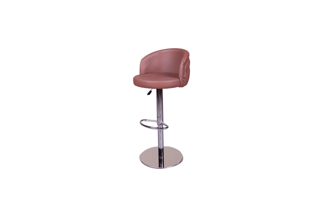 Premium Adjustable Bar Stool with Padded Backrest - 14-3