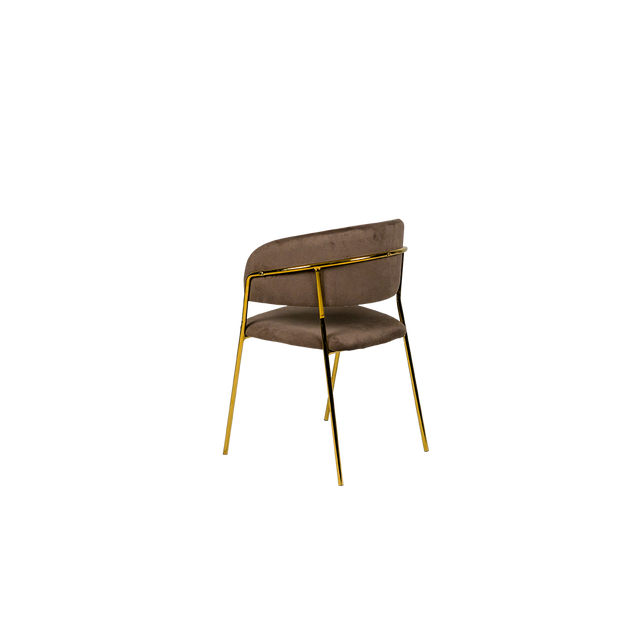 Dining Chair - Y-8