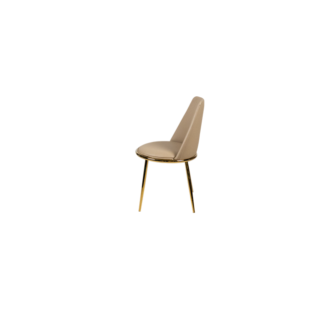 Dining Chair - Y-6