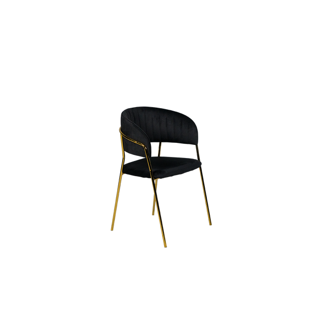 Dining Chair - Y-8