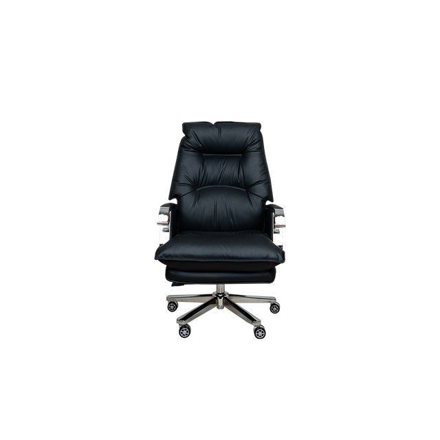 Executive Chair - A119
