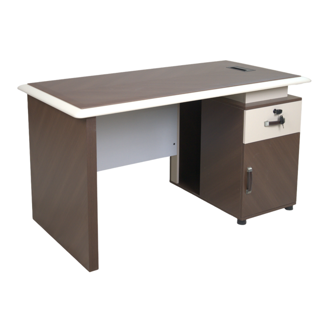 Modern Executive Credenza Table 1.4 - 906