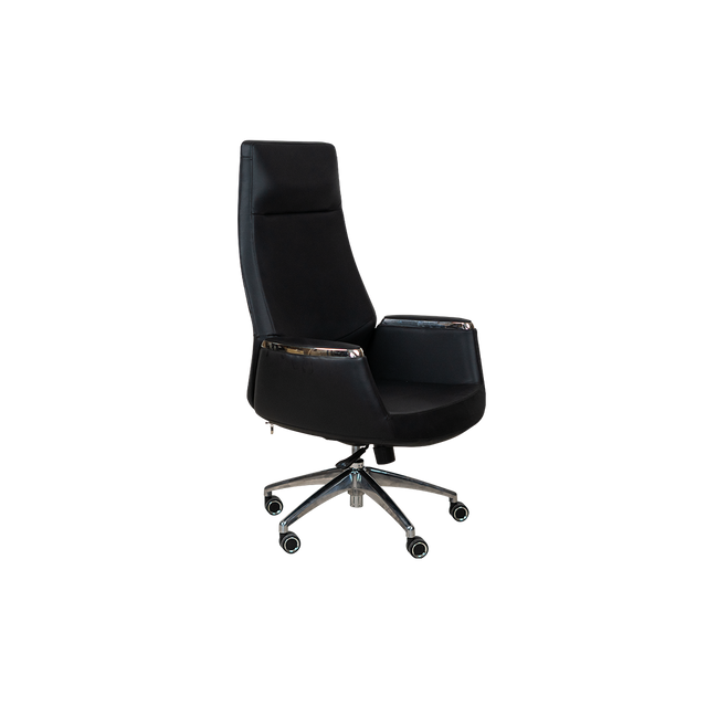 Executive Chair - A202