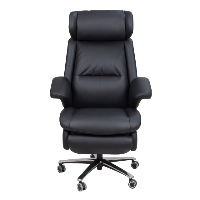 Sanctuary Executive Chair - 1663