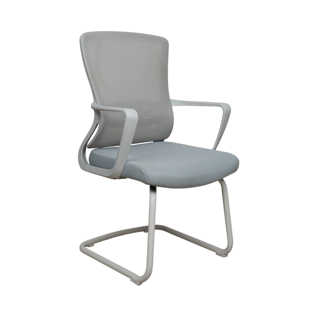 Visitor Chair - 303C