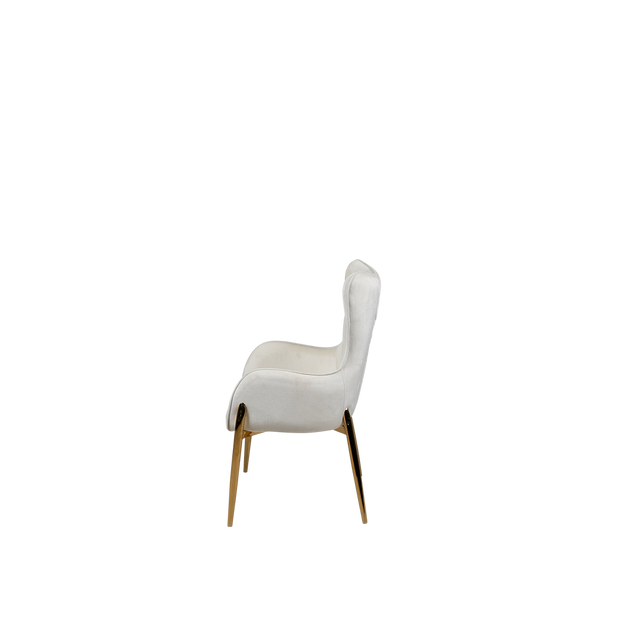 Dining Chair - 610