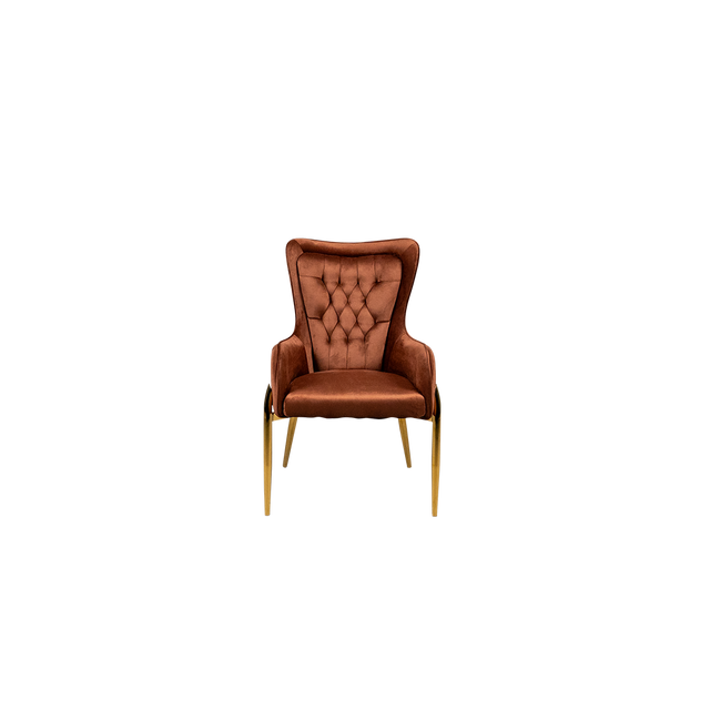 Dining Chair - 610