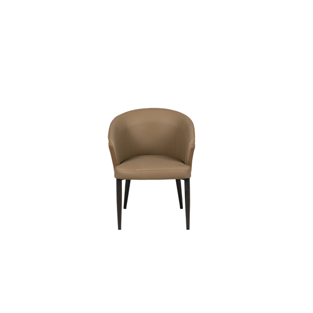 Dining Chair - 301