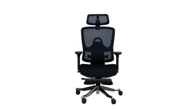 Revolving Chair - Beetle