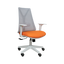 Revolving Chair - FS312