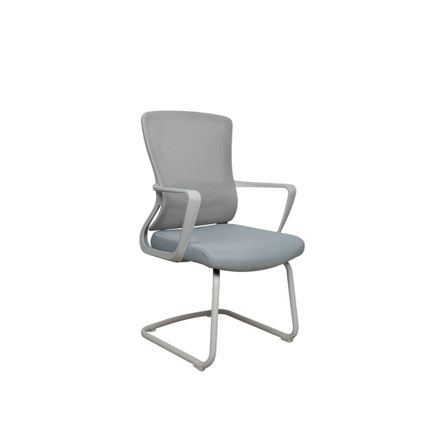 Visitor Chair - 303C