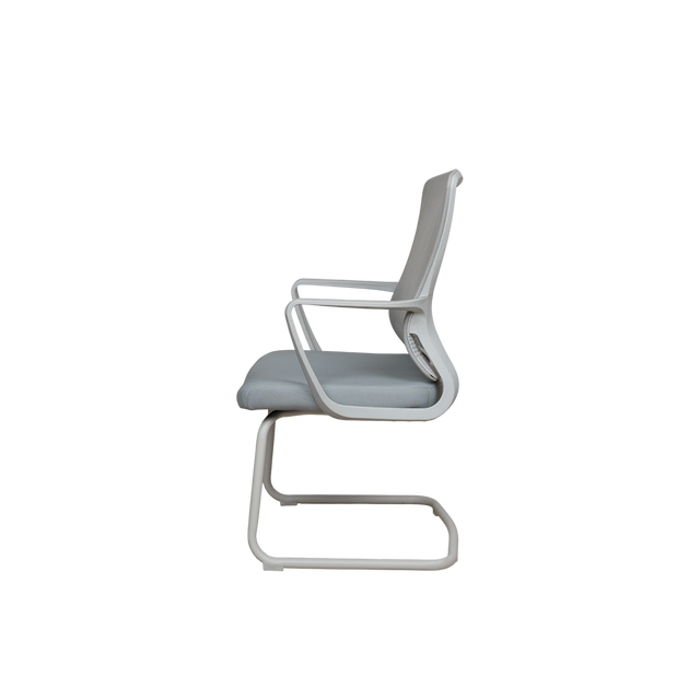 Visitor Chair - 303C