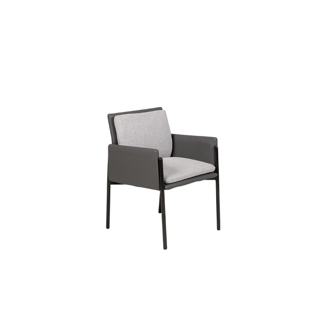 Dining Chair - Y-1073