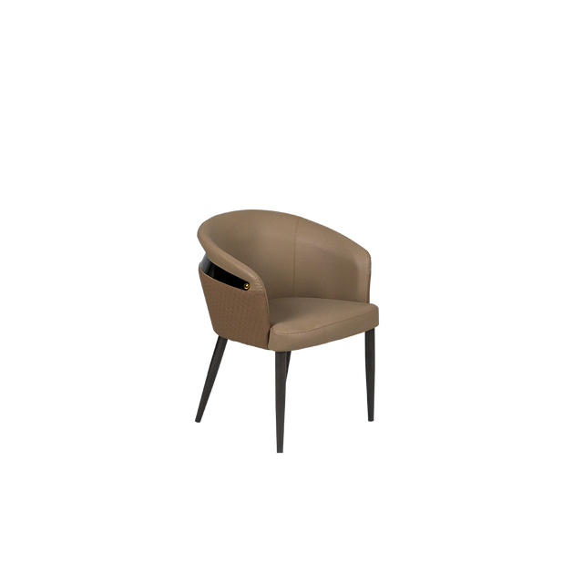 Dining Chair - 301