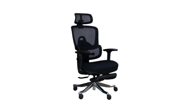 Revolving Chair - Beetle