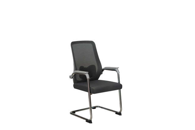 Visitor Chair - 313C