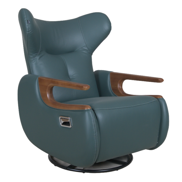 Midsten Recliner Lounge Chair - D855