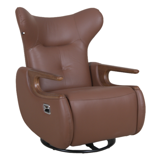 Midsten Recliner Lounge Chair - D855
