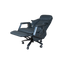 Executive Smart Chair - 1629
