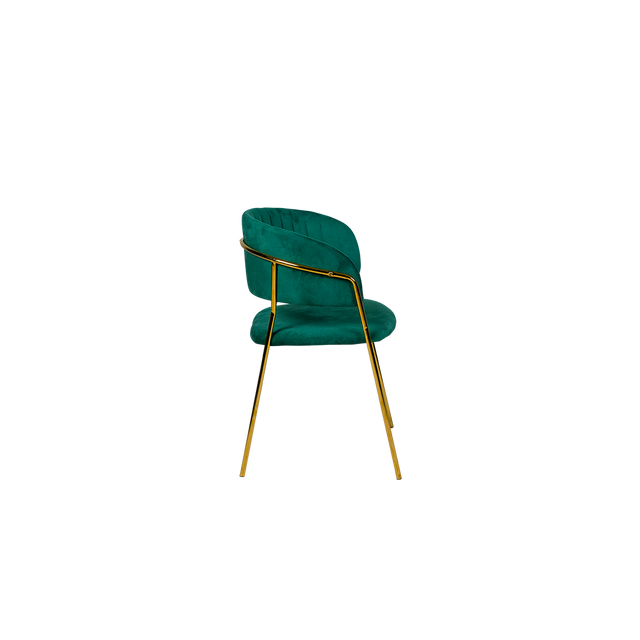 Dining Chair - Y-8