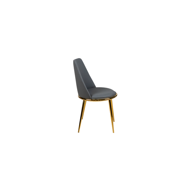 Dining Chair - Y-6
