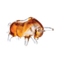 Luminence Crystal Bull Decor - Y-10