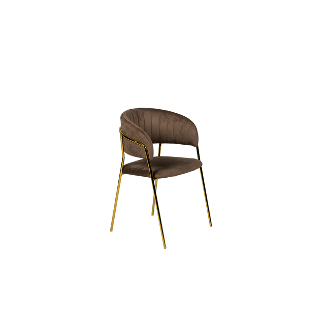 Dining Chair - Y-8
