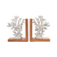 Oceanic Reef Bookends - V1