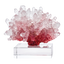 Rosewood Coral Decor - CC10/CC11