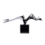 Liquid Momentum Decor - DD3