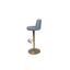 Modern Adjustable Bar Stool with Cushioned Backrest - 2302