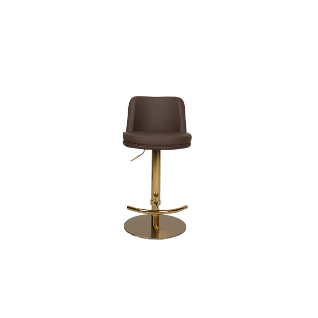 Modern Adjustable Bar Stool with Cushioned Backrest - 2302