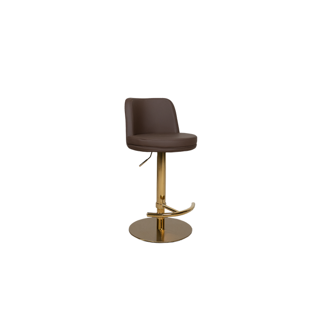 Modern Adjustable Bar Stool with Cushioned Backrest - 2302