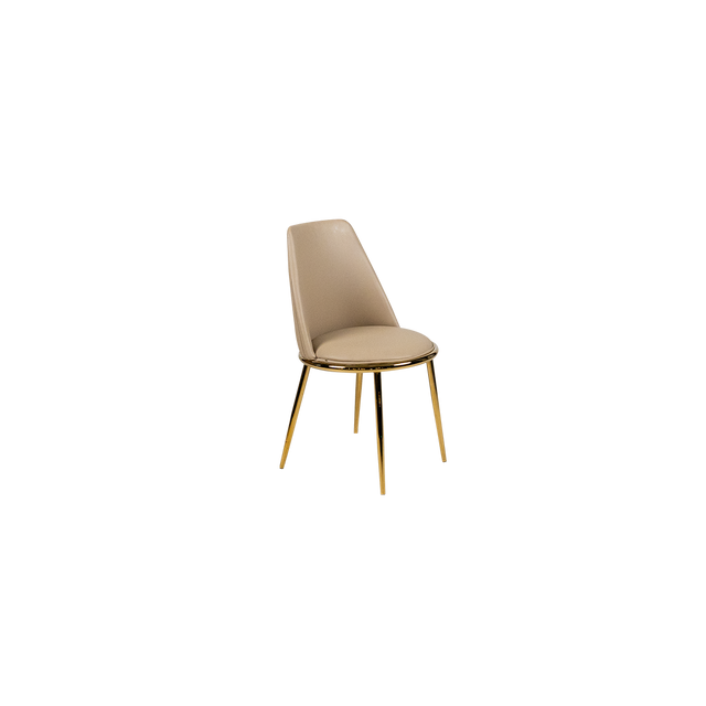 Dining Chair - Y-6