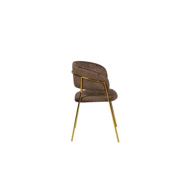 Dining Chair - Y-8