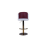 Modern Two-Tone Adjustable Bar Stool - 759