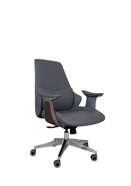 Executive Office Chair B318 - Ergonomic Chair in Pakistan