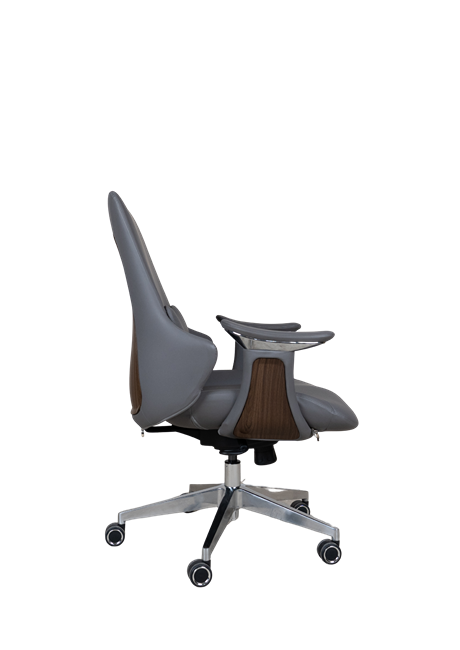 Executive Office Chair B318 - Ergonomic Chair in Pakistan