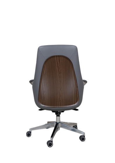 Executive Office Chair B318 - Ergonomic Chair in Pakistan