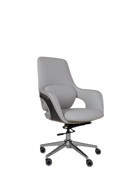 Executive Office Chair B313 - Ergonomic Chair in Pakistan