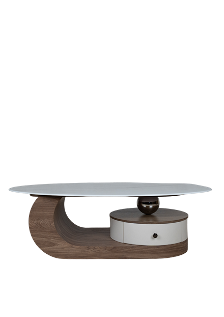 Modern Curved Wood Center Table with Storage CJ024
