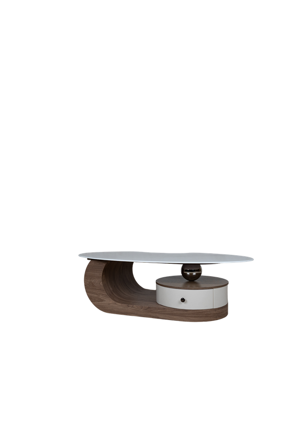 Modern Curved Wood Center Table with Storage CJ024