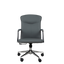 Mid-Back Revolving Office Chair B37 - Premium Office Chairs in Pakistan