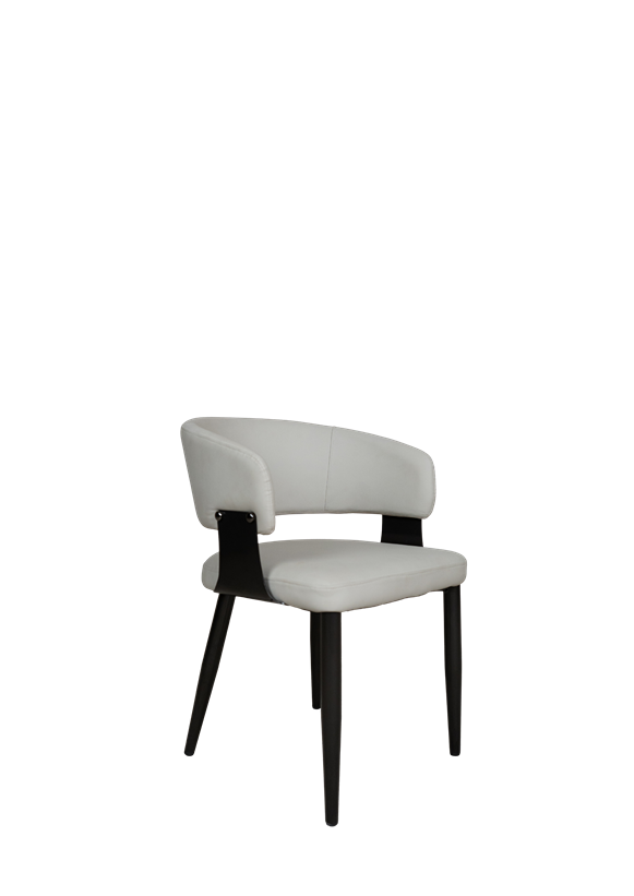 Modern Upholstered Dining Chair in Pakistan - 810